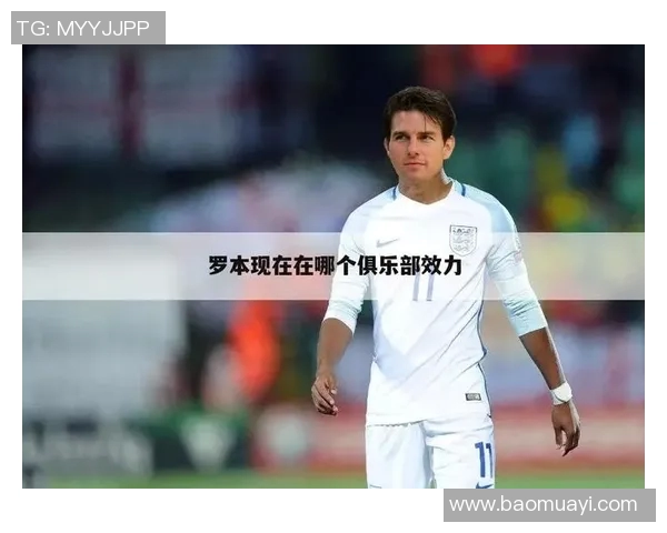 2014年足球明星罗本的辉煌时刻与传奇表现回顾